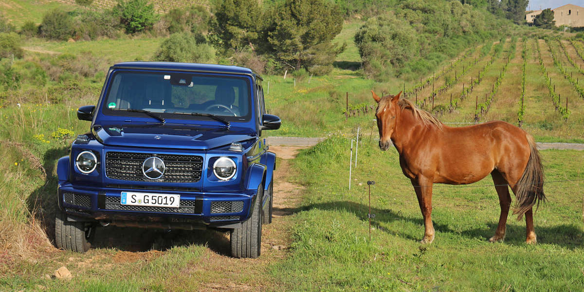 Mercedes G 2018 im Test