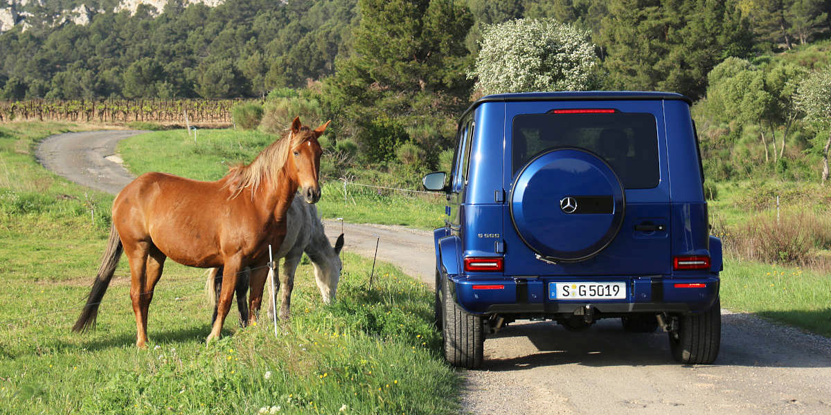 Mercedes G 2018 im Test