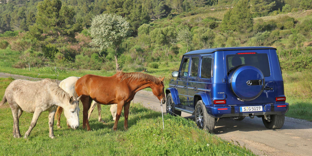 Mercedes G 2018 im Test